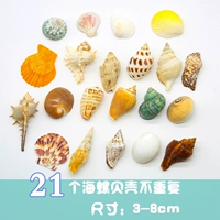 21 вида раковины не повторяются