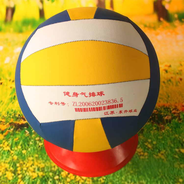 Ballon de volley-ball - Ref 2010361 Image 11