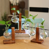 Креативные гидропонные растения в офисе, настольные зеленые растения, стеклянная бутылка с водой для выращивания зеленой редьки в горшке, небольшое растение в горшке, очищающее воздух и простое в уходе.