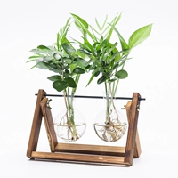 Ретро двойные бутылки (для растений)