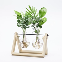 Двойная бутылка бревен (для растений)