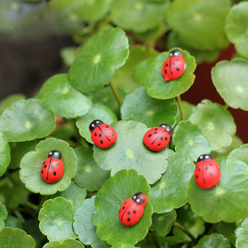Moss micro-landscape ornaments Simulation beetle ladybug ornaments accessories fleshy rainforest water tank ornaments