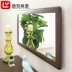 Shengshi Linyuan tất cả các gương gỗ rắn màu xanh lá cây sồi đỏ gương đơn giản thay đồ gương phòng ngủ log đồ nội thất - Gương