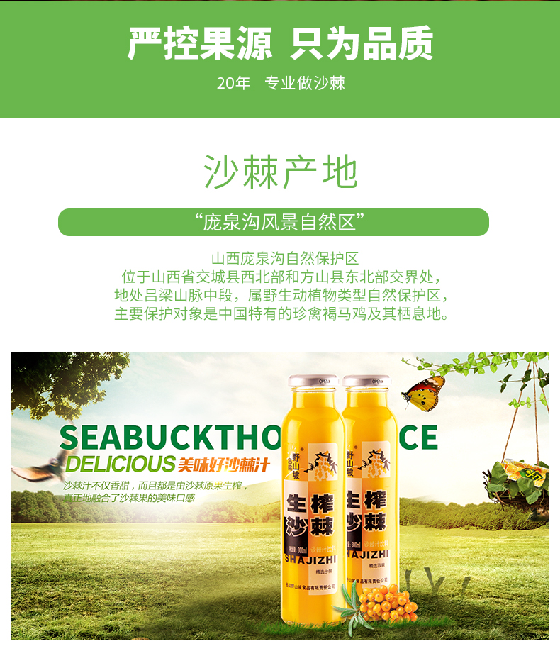 吕梁野山坡 野生沙棘 果汁饮料 300ml*8瓶 高营养 图2