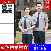 Серая короткая модель (одиночная вершина)