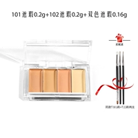 101+102+Двойной консилер в общей сложности 0,72 Отправить T22*2+T301