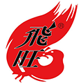 飞旺旗舰店