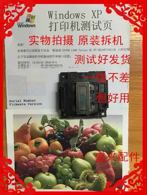 EPSON EPSON L300 L301 303 Nozzle L350 351 351 L551 558 Nozzle