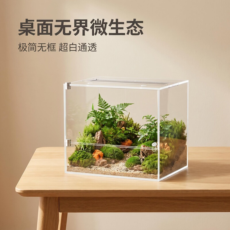 Frameless Rainforest Tank Reptile Enclosure Insect Terrarium Ultra-Clear Glass Aquatic and Terrestrial Moss Micro-Landscape Ecological Tank Enclosure
