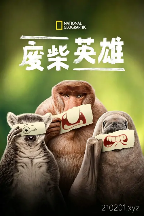 《废柴英雄》纪录片高清全集在线观看下载