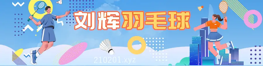 刘辉羽毛球网课.webp