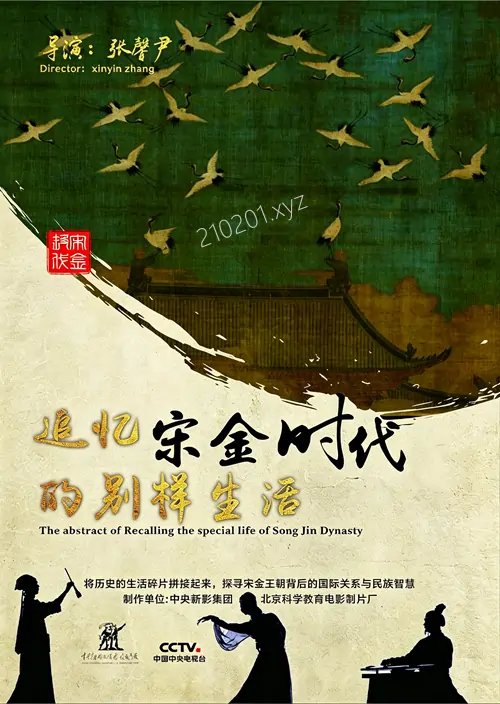 《追寻宋金时代的别样生活》央视纪录片全集在线观看下载