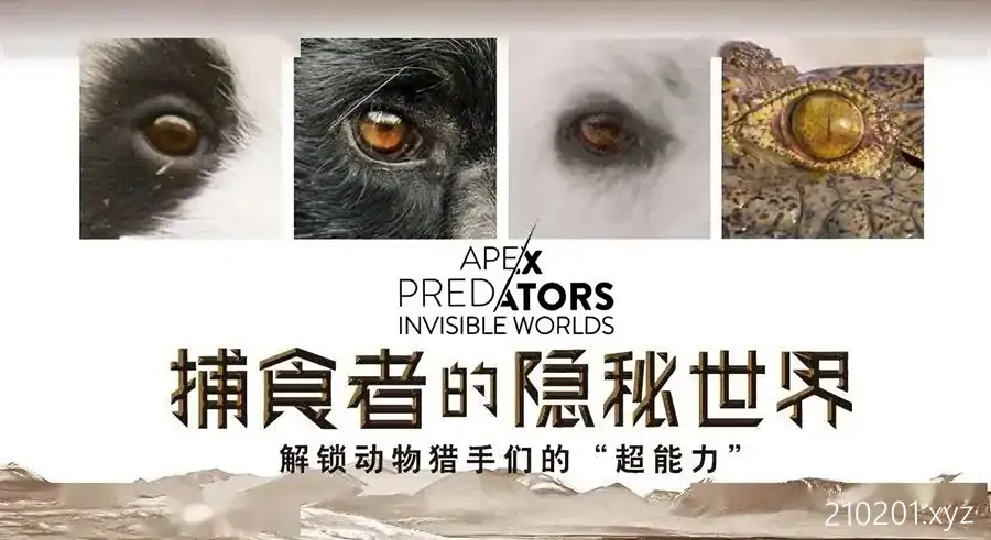 《捕食者的隐秘世界》纪录片高清资源全集在线观看下载
