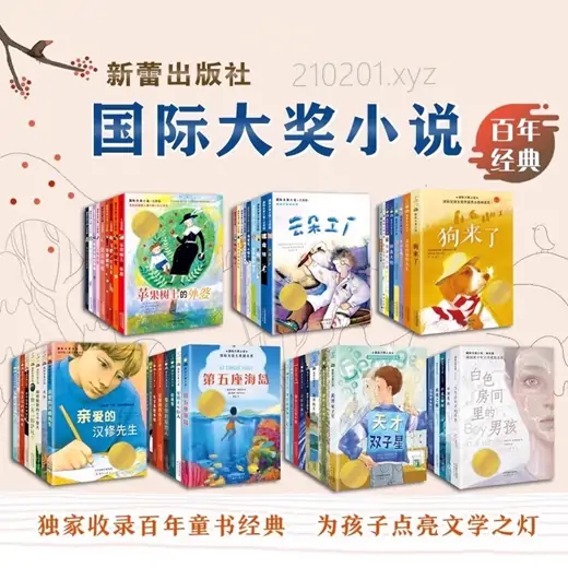 国际大奖小说.webp