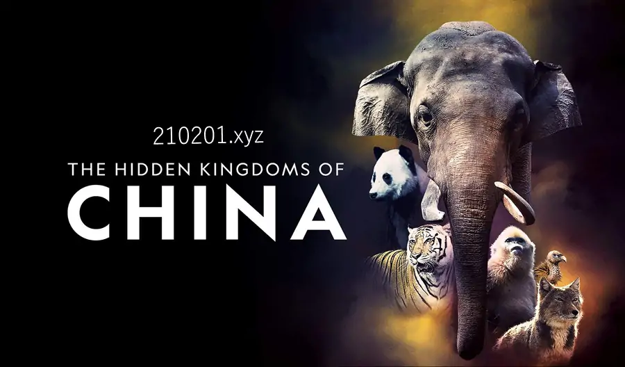 《未至之境》纪录片中英文高清完整版全集下载