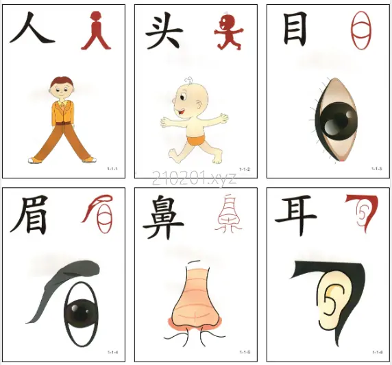 《直映认字》动画视频课程教案+全六册PDF电子版图卡文档合集