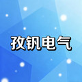 孜钒电气