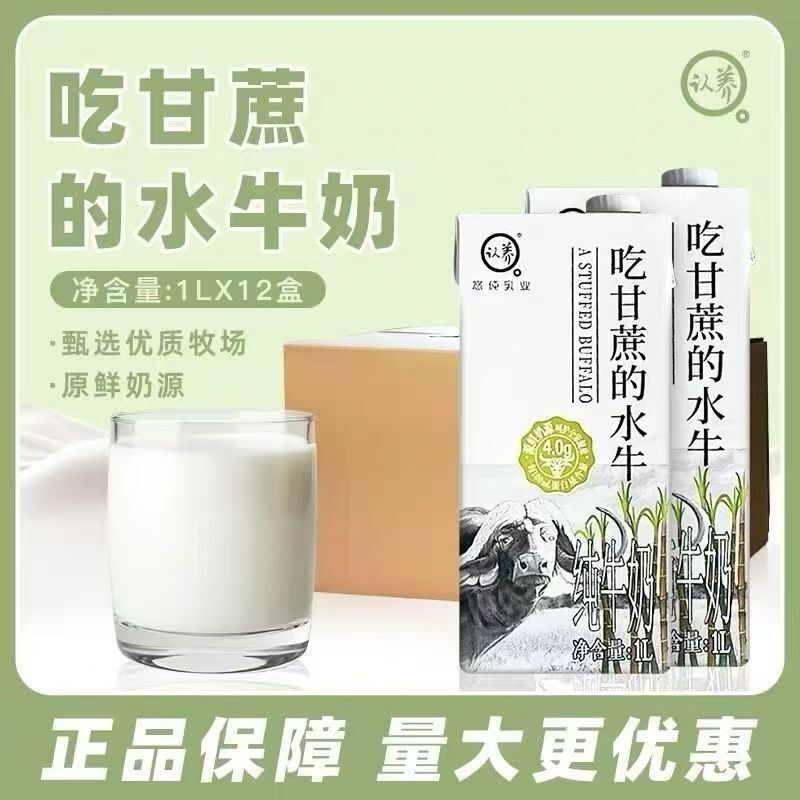 [Adoption] Milk from Water Buffalo That Eat Sugar Cane 1L*12 Whole Box, Coffee Drinks, Milk Tea Shop Special Buffalo Milk for Commercial Use
