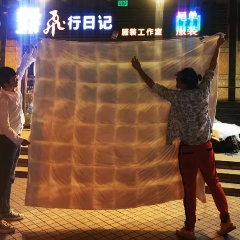 Walking Japan sheet guaranteed not to run down large number thickened down goose down by double pure cotton goon satin material