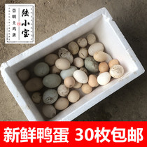 Chongming fresh duck egg grass duck egg duck egg free-range duck egg 10 20 30 integer start