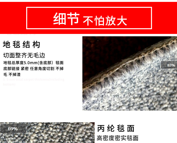 ковер 办公室地毯商用拼接方块卧室全满地垫式地板砖大面积水泥地面直接 Carrier