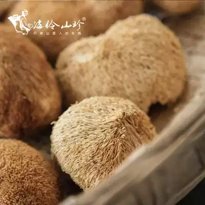 Hai Lingshan Zhenxi Hericium Mushroom Mushroom mushroom dried goods natural wild cultivation monkey mushroom 150g farm no sulfur