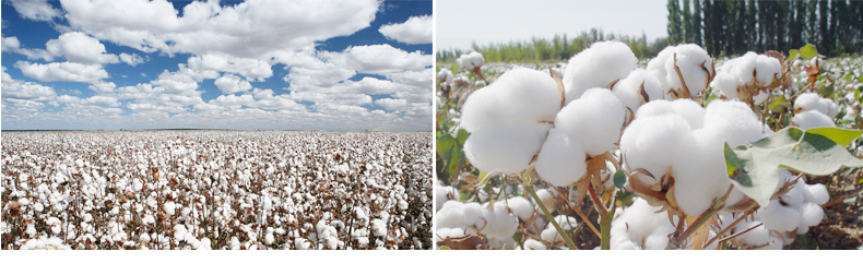 Chaussettes - collants ZJZUE P-002 - Ref 753643 Image 9