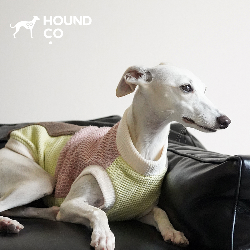 Houndco ®   The Fun Sweater Interesting Patchwork Sweater Vest Cotton Lining Pet