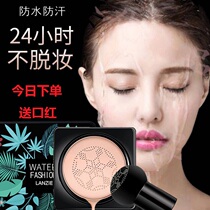 Big-name small mushroom head air cushion bb cream isolation concealer cc stick lasting makeup control oil waterproof foundation liquid