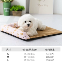 Розовый оранжевый кот