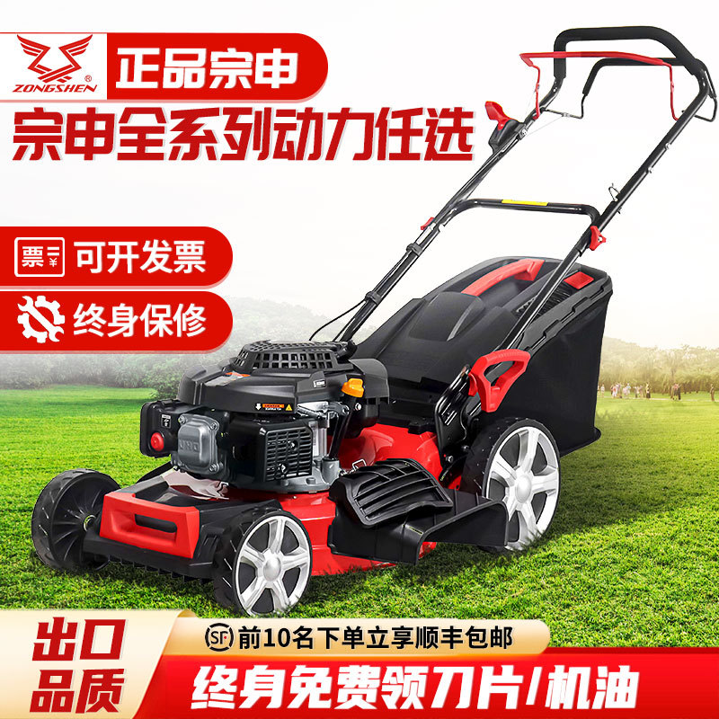 Gasoline Lawn Mower, Zongshen Power Lawn Trimmer, Weed Remover, Grass Cutter, Orchard Self-Propelled Hand-Push Grass Trimmer Gasoline Lawn Mower, Zongshen Power Lawn Trimmer, Weed Remover, Grass Cutter, Orchard Self-Propelled Hand-Push Grass Trimmer