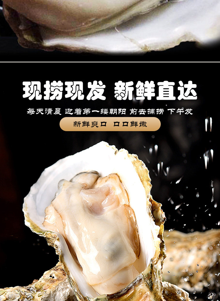 农佳优选 乳山生蚝 70g-90g 5斤 图7