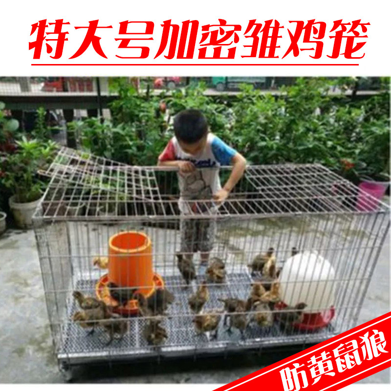 Chick Cage Special Size Home Chicken Cage Breeding Cage Folding Chicken Cage Sub anti-weasel Wolf Chicken Cage to encrypt the chicks