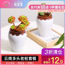 mumuhome Yunnan straight hair big old pile succulents combination potted indoor meat flowers green plants with pots