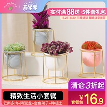  mumuhome Yunnan straight-haired succulents flower pot creative ceramic pot Simple wild meat flower pot with gold frame