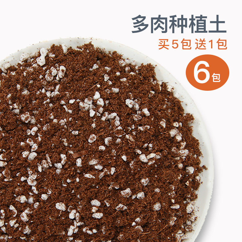 Vegetative Gardening Multi-meat plant Nutritional Soil Clay Charcoal Planting Earth Colorful paved pebble granular soil Multi-flesh red jade soil