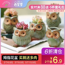  Succulents pot Personality cute ceramic pot Meat thumb flower pot Breathable Succulents owl flower pot