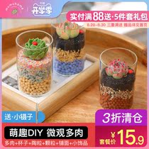  Fleshy micro-landscape plants Office indoor creative desktop potted plants Novice easy-to-raise flowers Green plants with glass