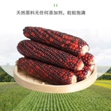 Apple, натуральный прорезыватель для правильного прикуса, игрушка, кукурузные зерна