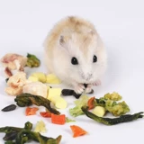 Маленький хомяк закуски комбинация упаковки фруктов из шлифования зубные орехи питание