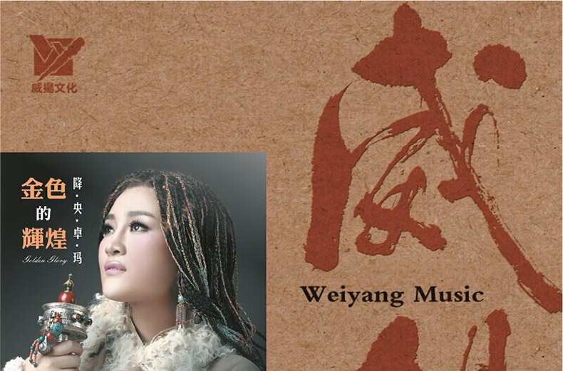 đầu đĩa than cổ victor Chính hãng Dangyang Zhuoma Golden vinh quang Bài hát LP vinyl ghi âm 12 inch ghi âm chuyên dụng - Máy hát 	đầu đĩa than micro dd8