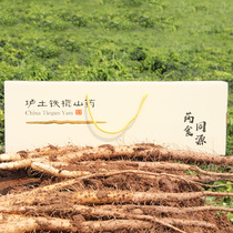 Henan Wenxian land specialty iron bar Yam fresh sweet dry glutinous yam family gift box Limited