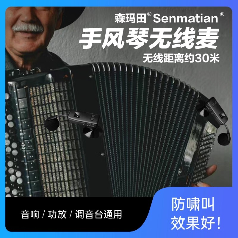 Accordion Dual-Microphone Wireless Microphone Instrument Amplifier with Dual Pickup Heads for Outdoor Performances and Bands