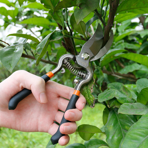 8-inch 10-inch heavy garden cut landscaping tools flowers scissors trim cut scissors gardening scissors 5 gold tools