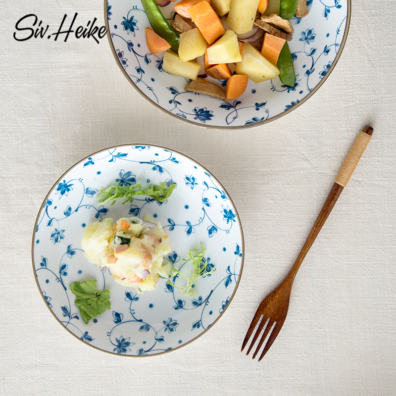 West fu Japanese creative ceramic plate domestic large deep dish soup plate disc dumplings plate of fruit salad plate