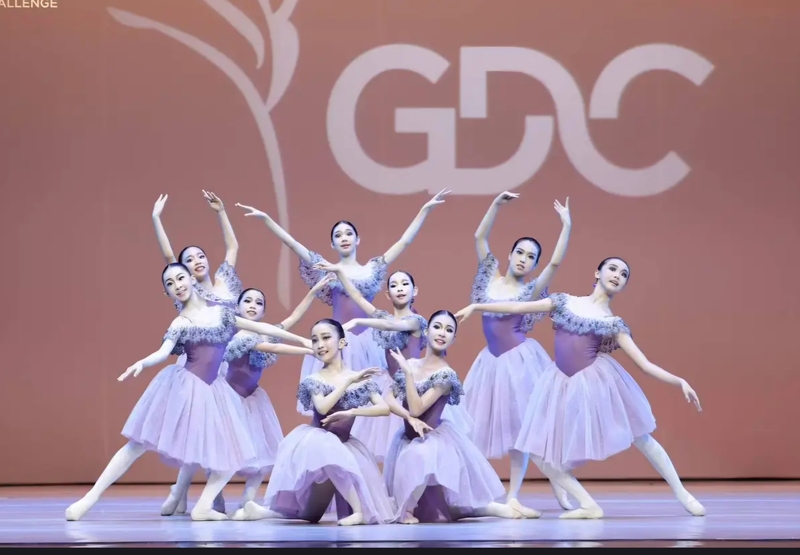 Children's Ballet Dress Performance Costume Competition-Specific Performance Clothing Dance Long Gauze Skirt Tulle Skirt Adult