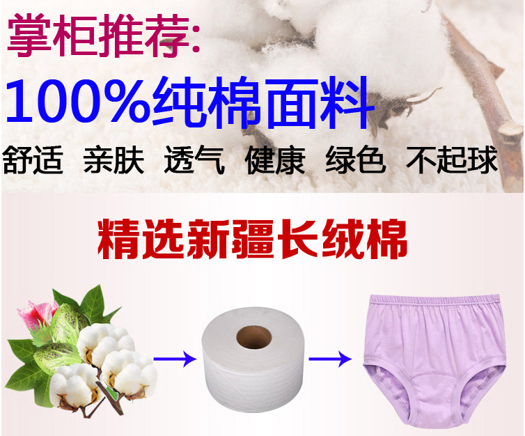 Slip personne âgée simple en coton - Ref 643328 Image 19