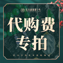 Fei live broadcast special photo link privately shot invalid