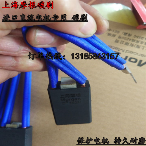 Inlet DC Motor Carbon Brush EG251 12 5 16 32 40 20 60 50 25 10 8 Moxiang Carbon Brush