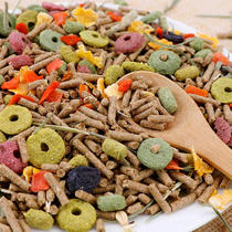 Rabbit grain 20 deodorized young rabbit grain 10 Dutch pig guinea pig grain disease prevention into rabbit grain 5 catty for mixed rabbit feed